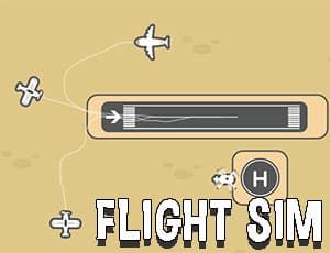 Flight Sim